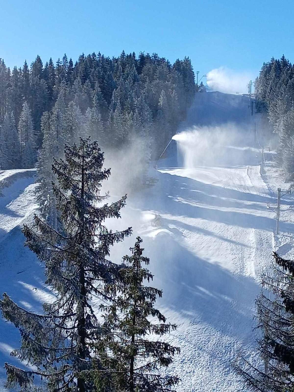 Woodside Woodside Apartments Kopaonik Free Parking & Spa , Free Ski Locker Εξωτερικό φωτογραφία
